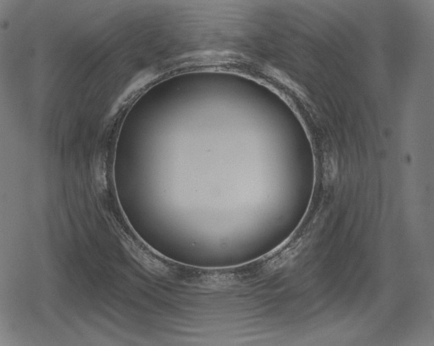 X0000078891451200611131218