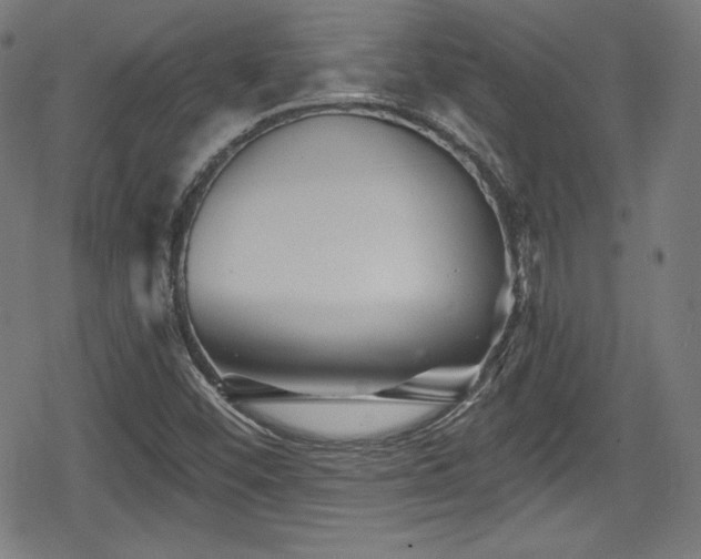 X0000078891452200611131218