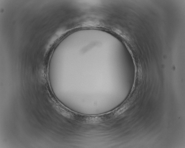 X0000078891454200611131218