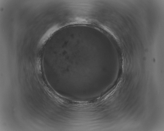 X0000078891455200611131218