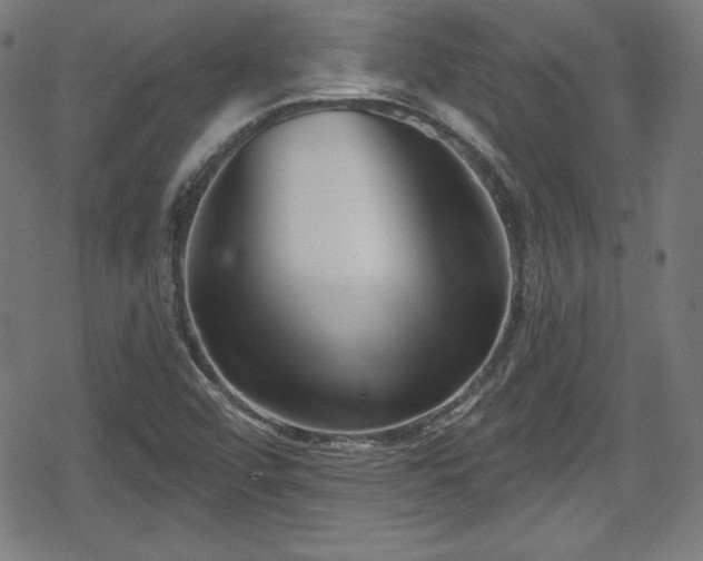 X0000078891456200611131218