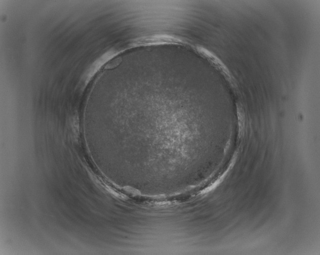 X0000078891457200611131218