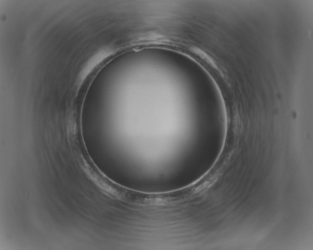 X0000078891458200611131218