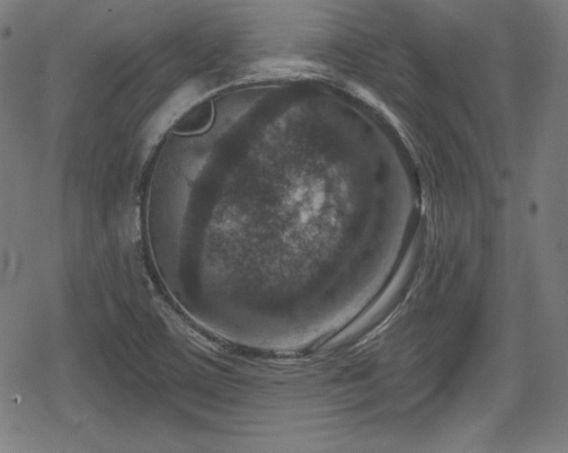 X0000078891459200611131218