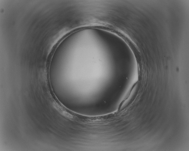 X0000078891460200611131218