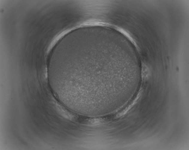 X0000078891461200611131218