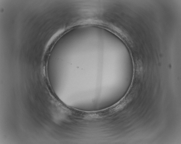 X0000078891462200611131218