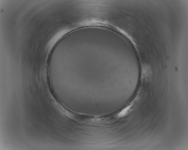 X0000078891463200611131218