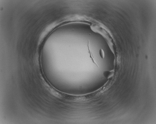 X0000078891464200611131218