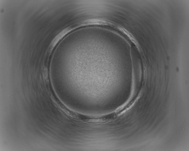 X0000078891465200611131218