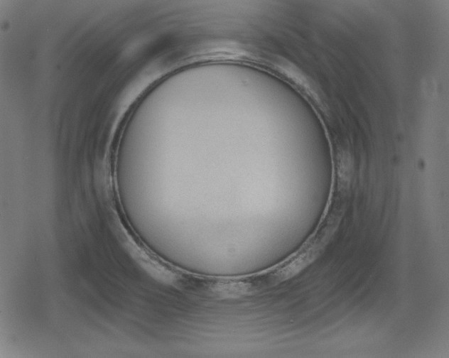 X0000078891466200611131218