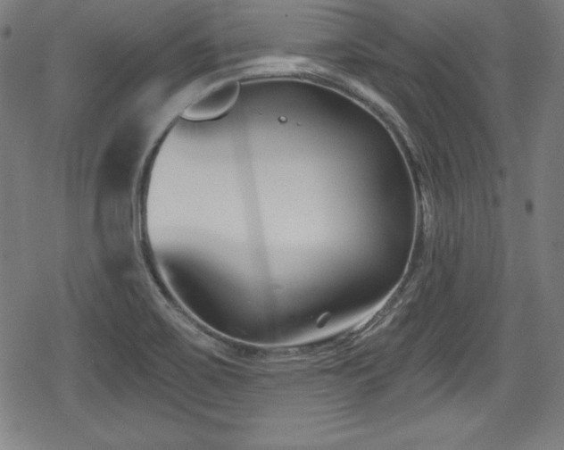 X0000078891467200611131218