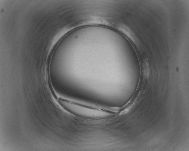 X0000078891468200611131217