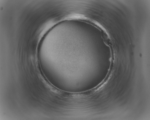 X0000078891469200611131217