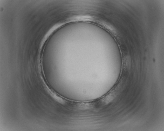 X0000078891470200611131217