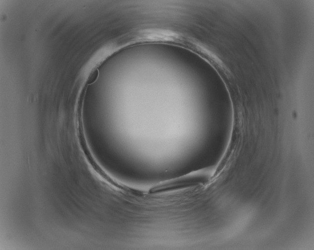 X0000078891471200611131217