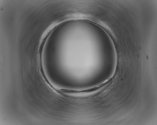 X0000078891472200611131217