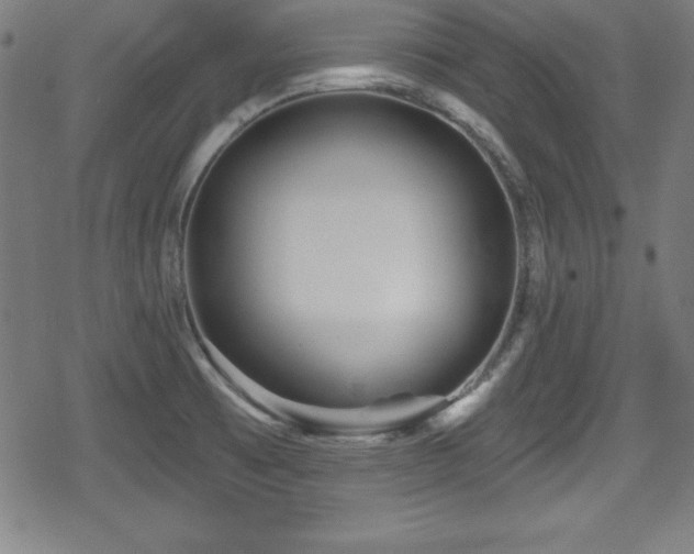 X0000078891473200611131217