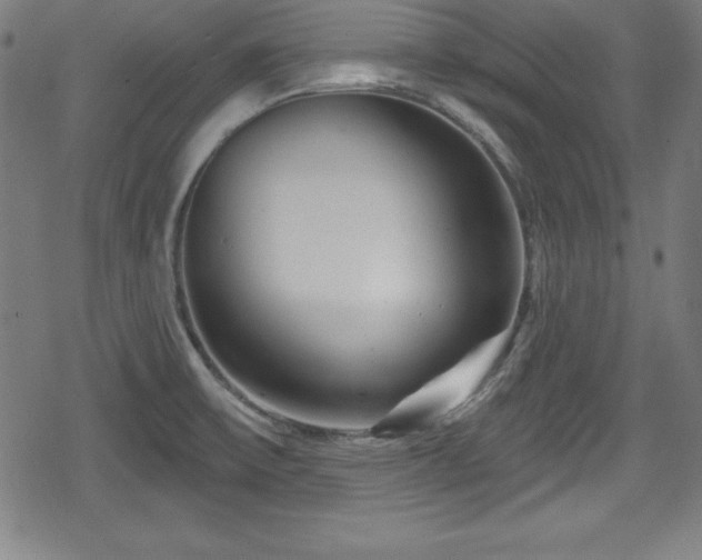 X0000078891475200611131217