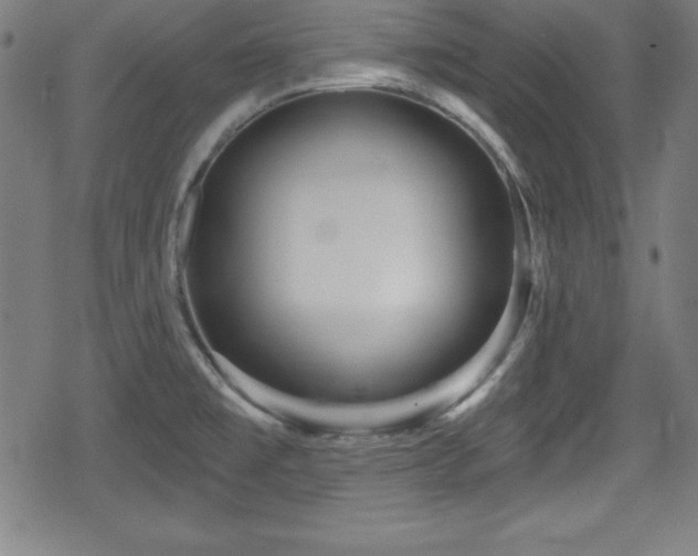 X0000078891477200611131217