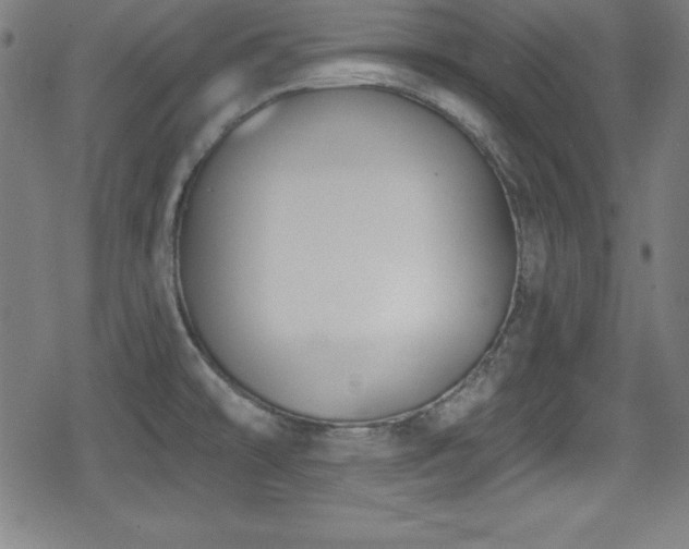 X0000078891478200611131217