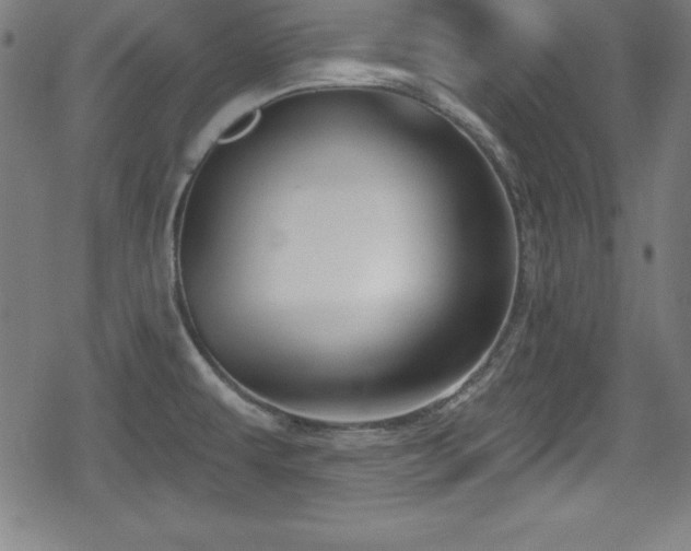 X0000078891479200611131217