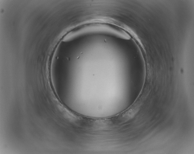 X0000078891480200611131217