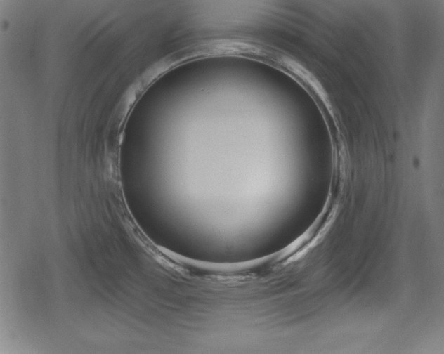 X0000078891481200611131217