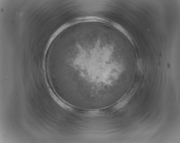 X0000078891482200611131217