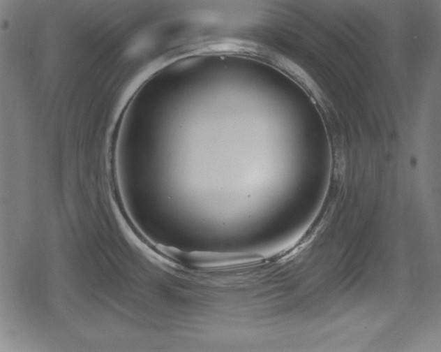 X0000078891483200611131217