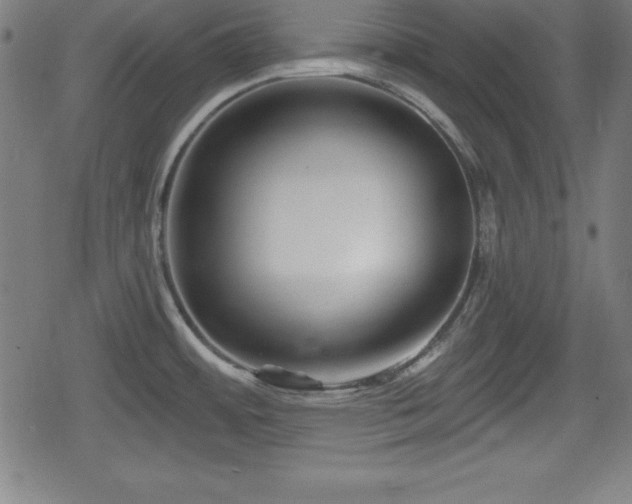 X0000078891484200611131217