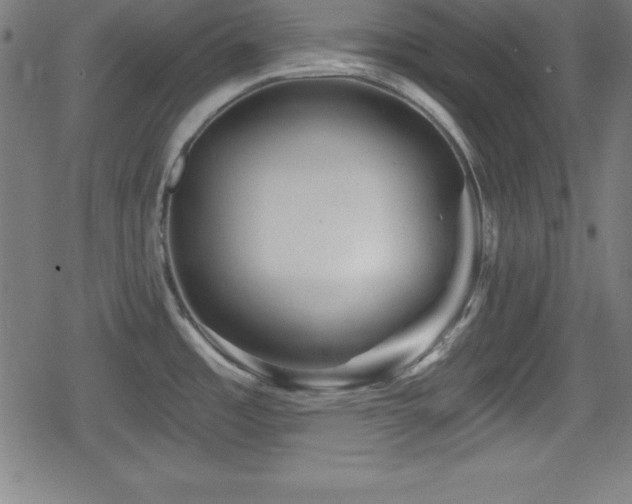 X0000078891485200611131217