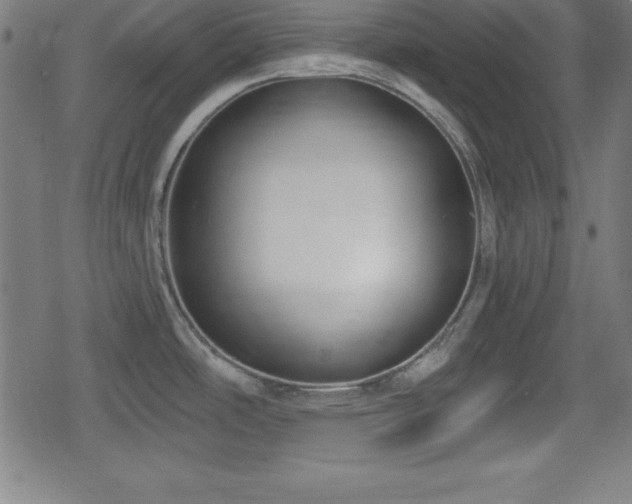 X0000078891486200611131217