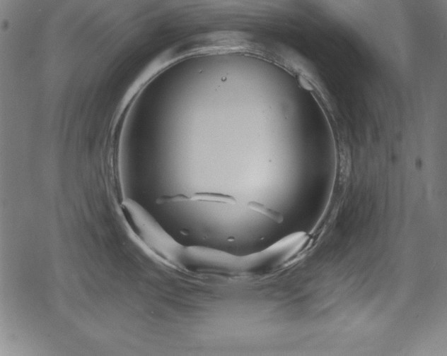 X0000078891487200611131217