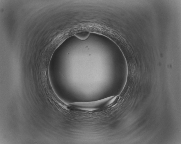 X0000078891489200611131216