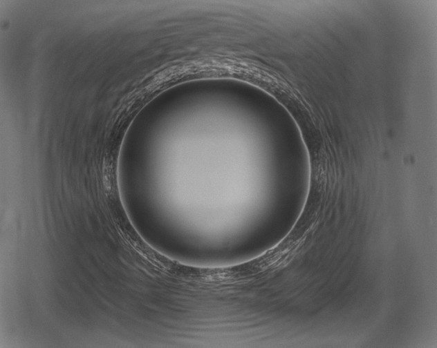 X0000078891490200611131216