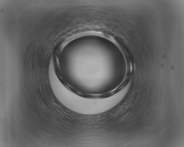 X0000078891492200611131216