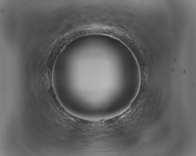 X0000078891493200611131216