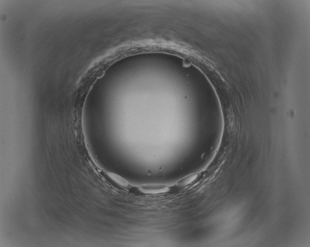 X0000078891494200611131216