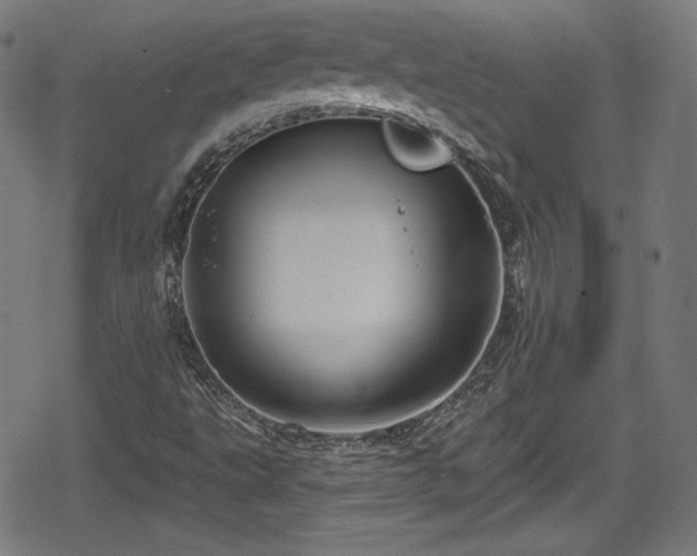 X0000078891495200611131216