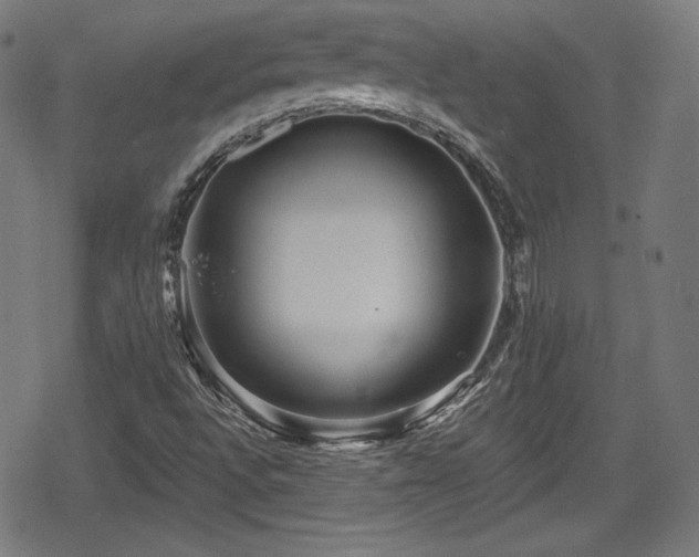 X0000078891496200611131216