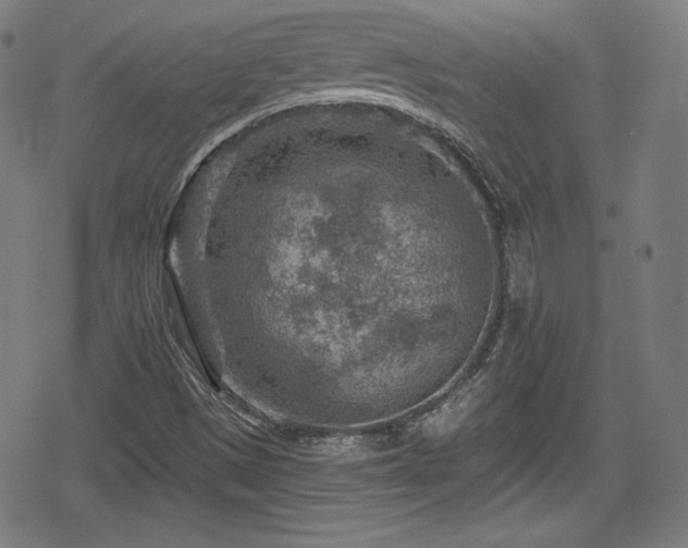 X0000078891497200611131217