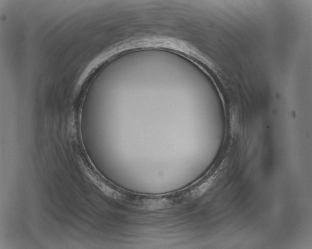 X0000078891498200611131217