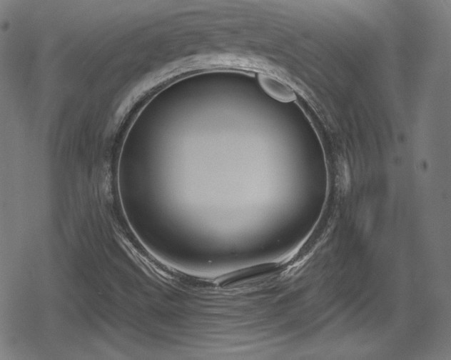 X0000078891499200611131217