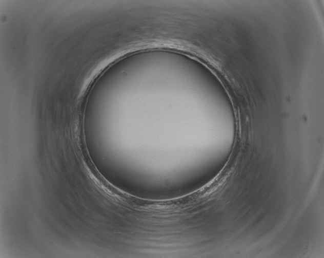 X0000078891500200611131217