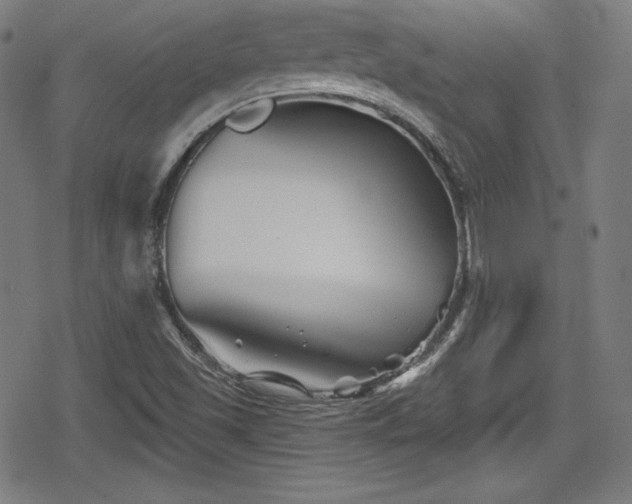 X0000078891501200611131217