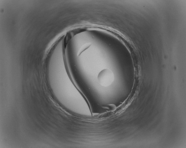 X0000078891502200611131217