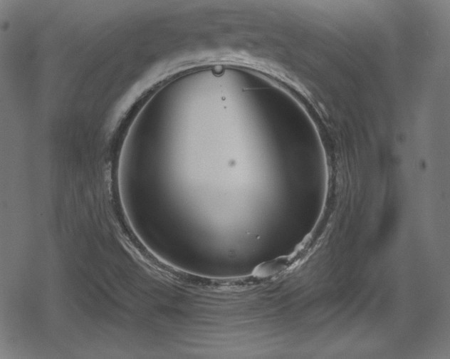 X0000078891503200611131217