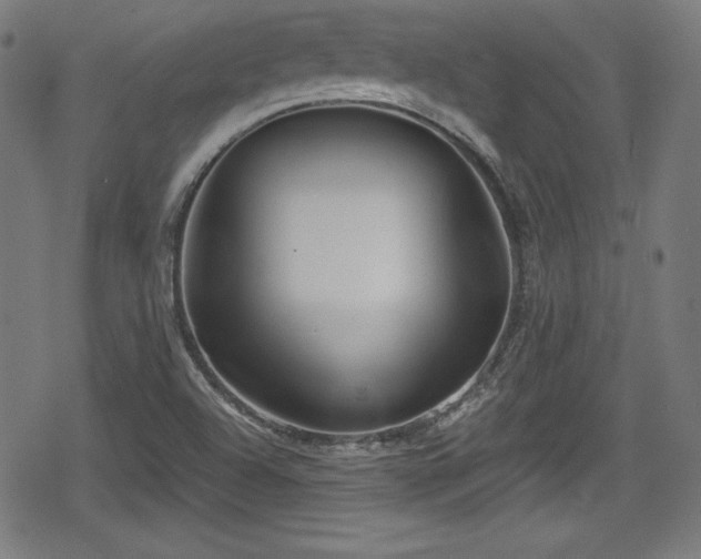 X0000078891504200611131217