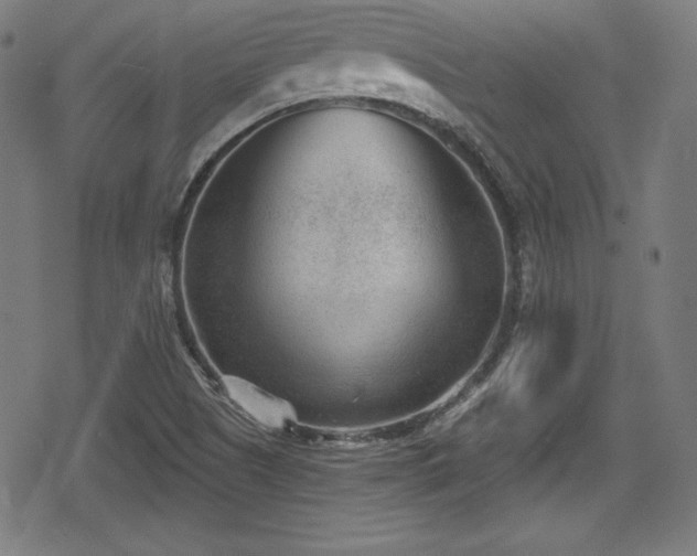 X0000078891505200611131217